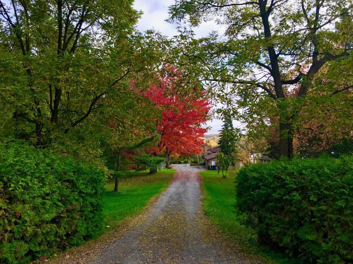 Chelsea Auberge Tom B&B المظهر الخارجي الصورة